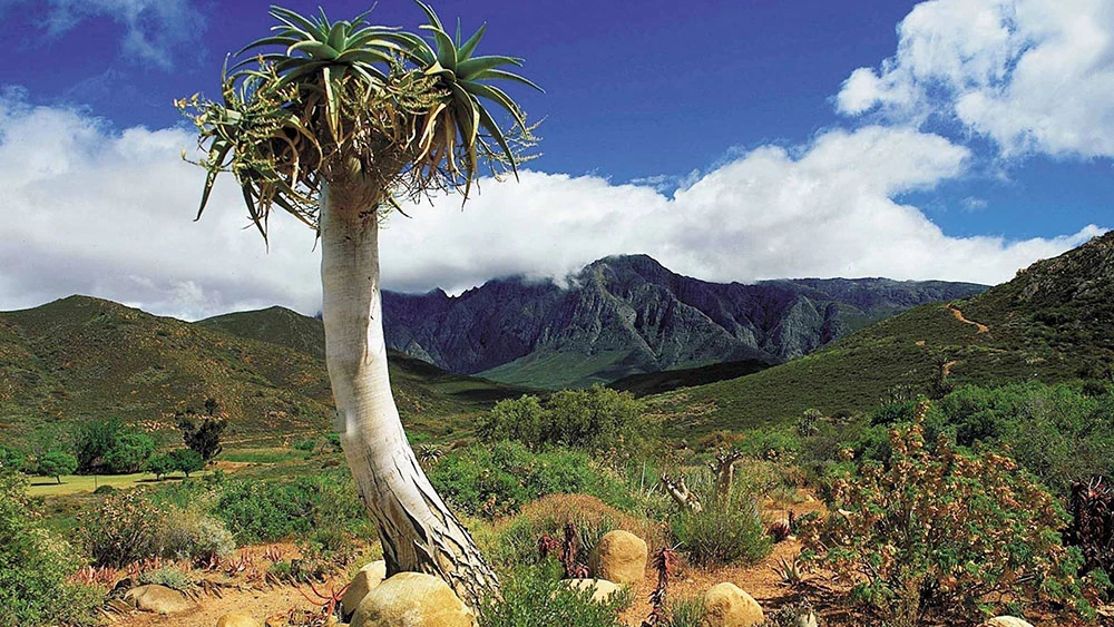Oudtshoorn and surrounds