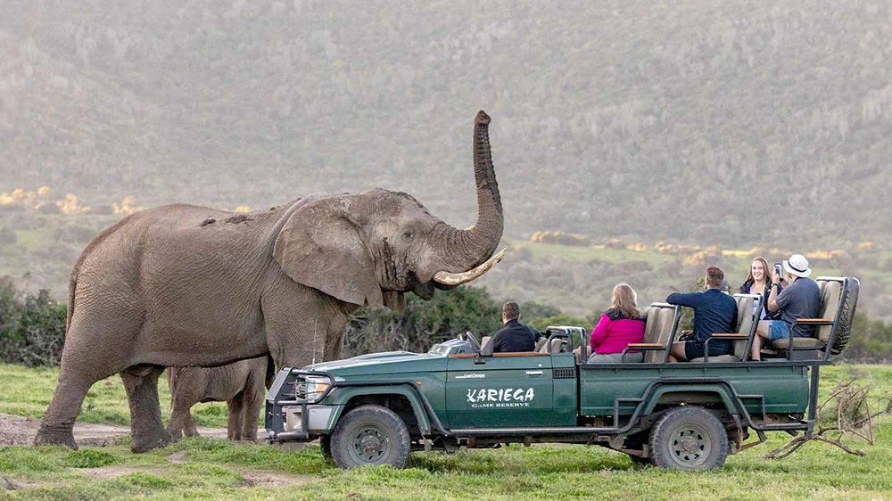 Kariega Game Drive